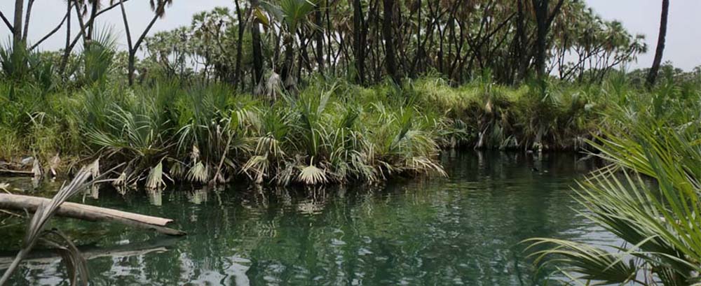danit_ethiopia_banner_awash_hot_spring.jpg