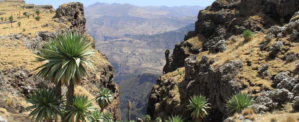 danit_ethiopia_banner_nature.jpg